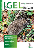 Igel-Bulletin 55