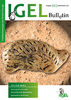 Igel-Bulletin 60